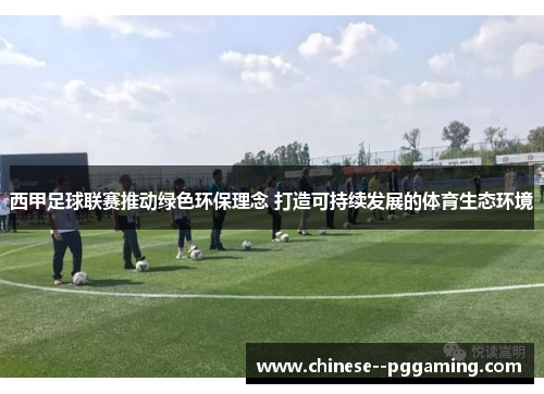 西甲足球联赛推动绿色环保理念 打造可持续发展的体育生态环境 西甲足球联赛推动绿色环保理念 打造可持续发展的体育生态环境