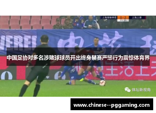 中国足协对多名涉赌球球员开出终身禁赛严惩行为震惊体育界